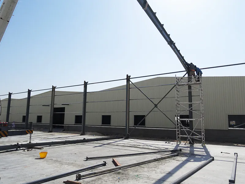 Durable Large Span Steel Structure Warehouse, Wellcamp S-5