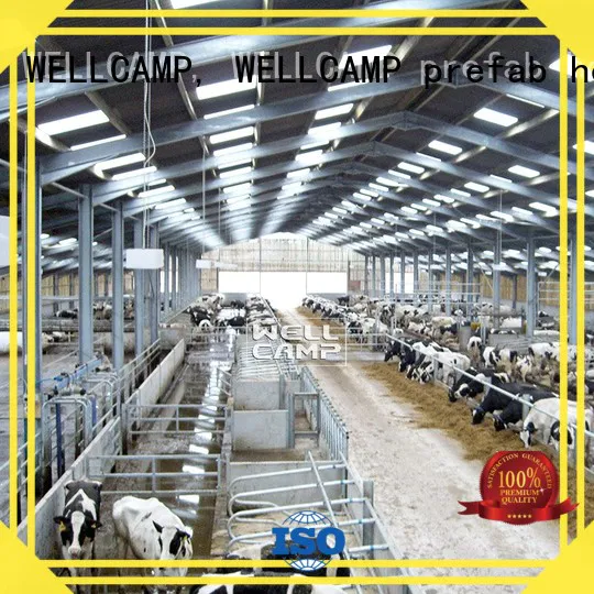WELLCAMP, WELLCAMP prefab house, WELLCAMP container house Brand shed structure steel shed manufacture