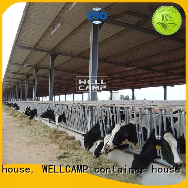 WELLCAMP, WELLCAMP prefab house, WELLCAMP container house steel sheds maker online