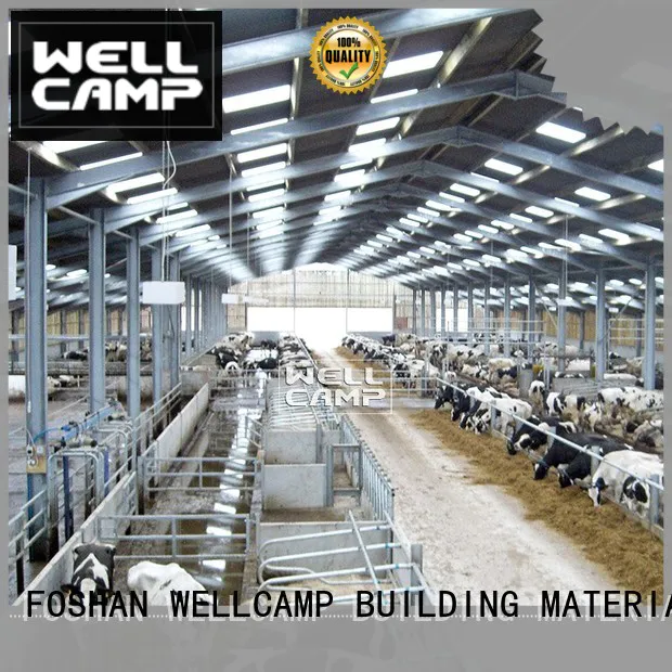 steel shed buildings maker for cow shed WELLCAMP, WELLCAMP prefab house, WELLCAMP container house