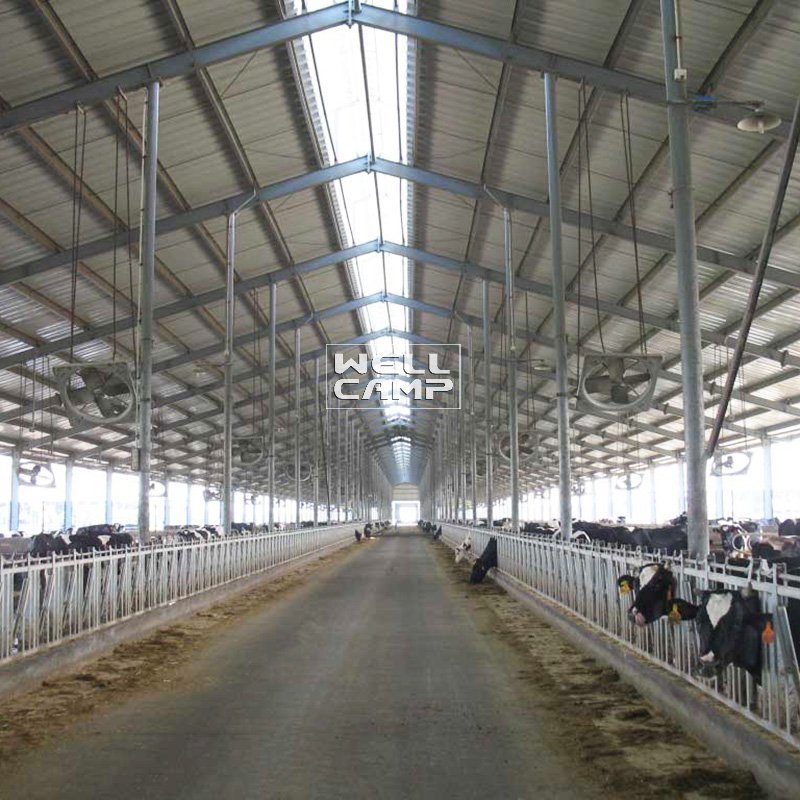 product-Sandwich Panel Color Steel Structure for Cow Shed, Wellcamp S-31-WELLCAMP, WELLCAMP prefab h-2
