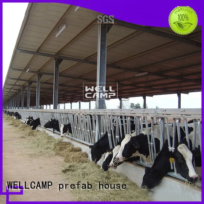 color structure wellcamp WELLCAMP, WELLCAMP prefab house, WELLCAMP container house Brand steel shed
