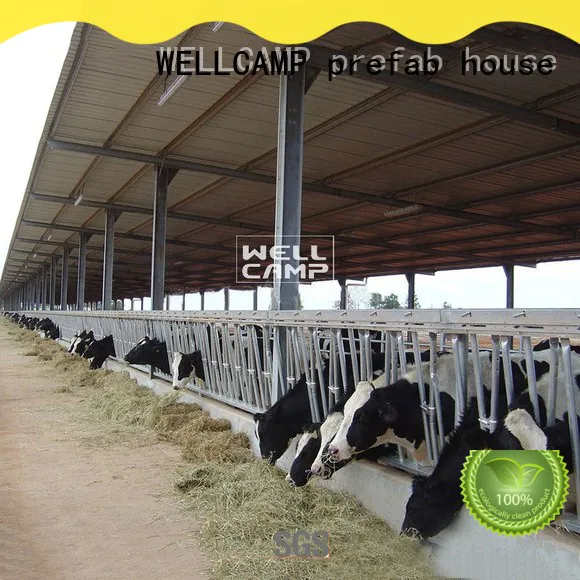 WELLCAMP, WELLCAMP prefab house, WELLCAMP container house color steel shed manufacturer wholesale