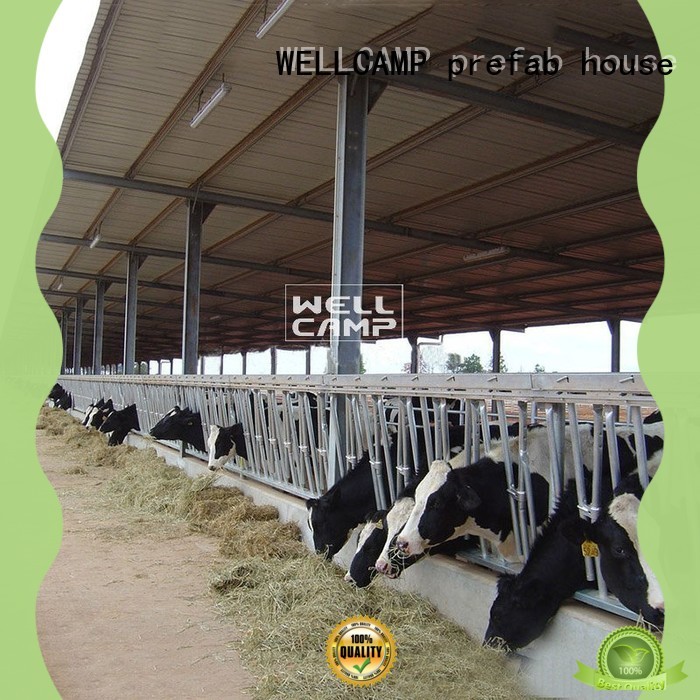 WELLCAMP, WELLCAMP prefab house, WELLCAMP container house steel shed design supplier for cow shed