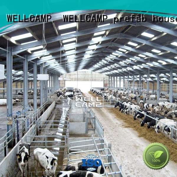 WELLCAMP, WELLCAMP prefab house, WELLCAMP container house light steel steel sheds supplier wholesale