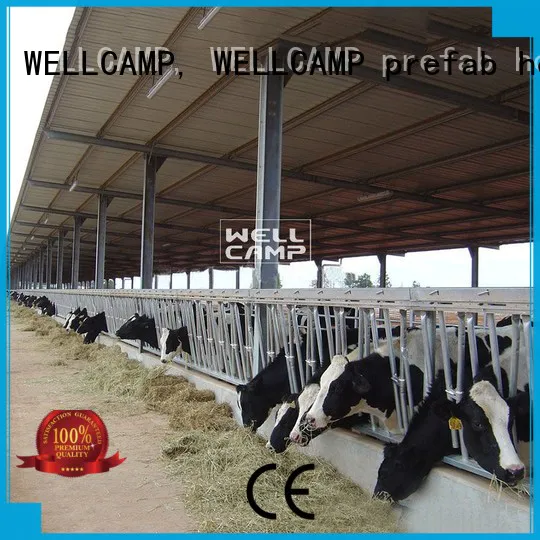 steel shed prices cow panel WELLCAMP, WELLCAMP prefab house, WELLCAMP container house Brand company