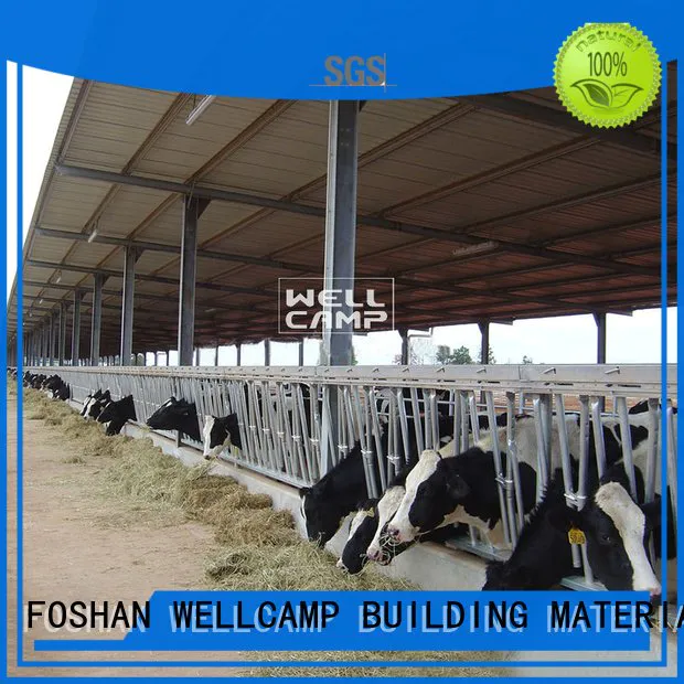 WELLCAMP, WELLCAMP prefab house, WELLCAMP container house Brand cowshed prefab structure steel shed