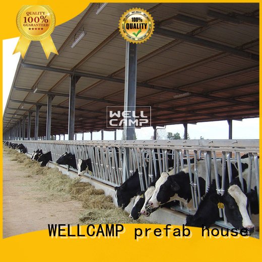 Light Steel Prefab Steel Structure Cowshed, Wellcamp S-45 