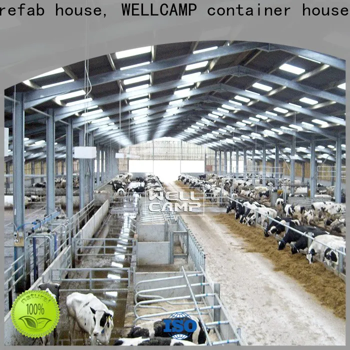 WELLCAMP, WELLCAMP prefab house, WELLCAMP container house color steel shed maker online