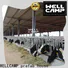 WELLCAMP, WELLCAMP prefab house, WELLCAMP container house light steel steel shed fast install wholesale