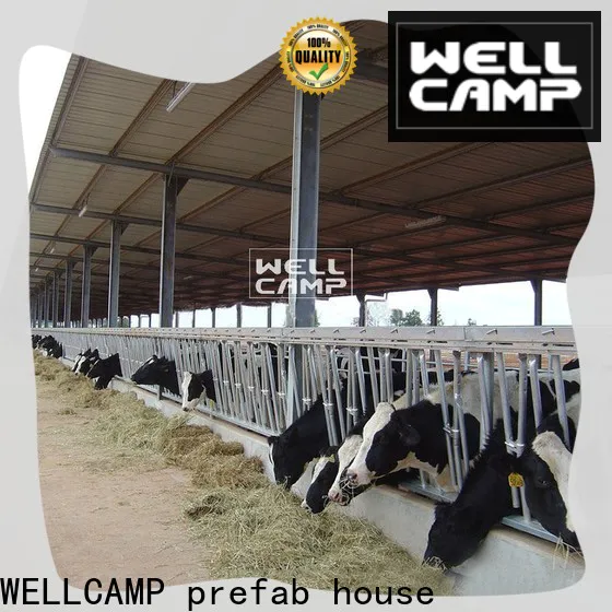 WELLCAMP, WELLCAMP prefab house, WELLCAMP container house light steel steel shed fast install wholesale