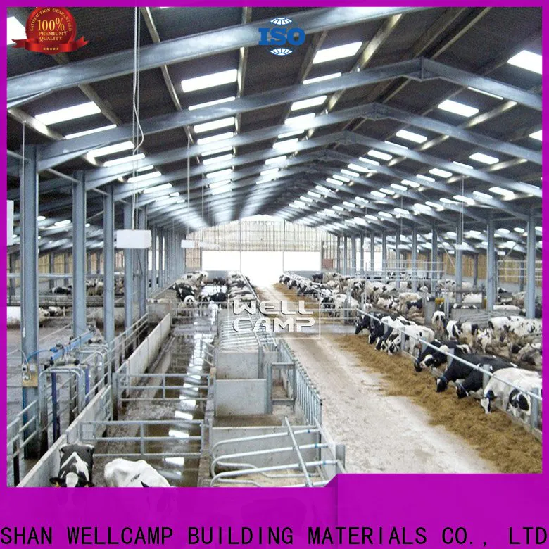 light steel steel structure manufacturer online