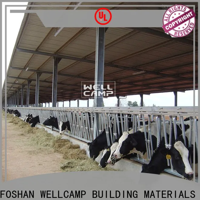 WELLCAMP, WELLCAMP prefab house, WELLCAMP container house steel shed manufacturer for cow shed