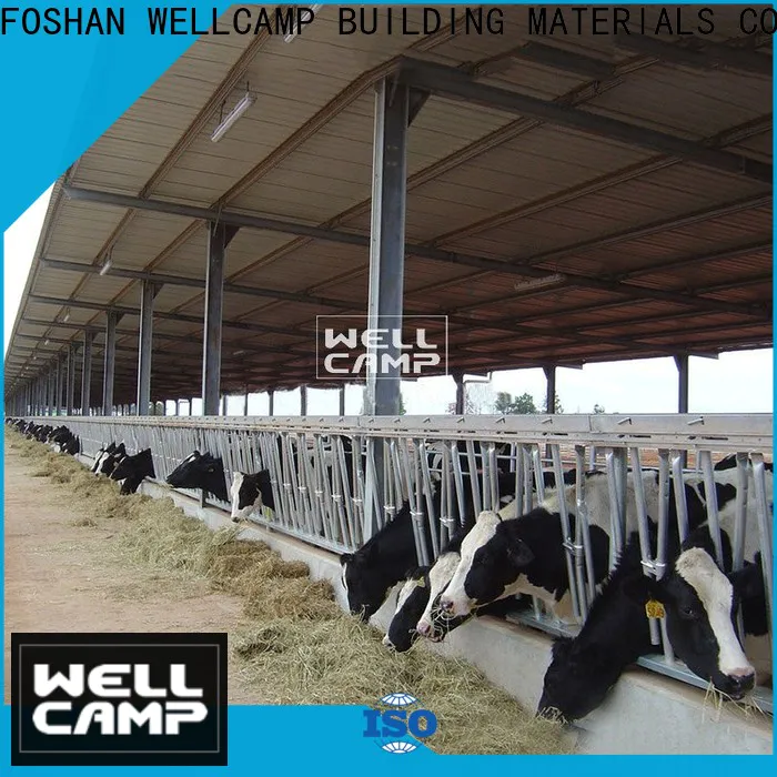 WELLCAMP, WELLCAMP prefab house, WELLCAMP container house color steel structure supplier for cow shed