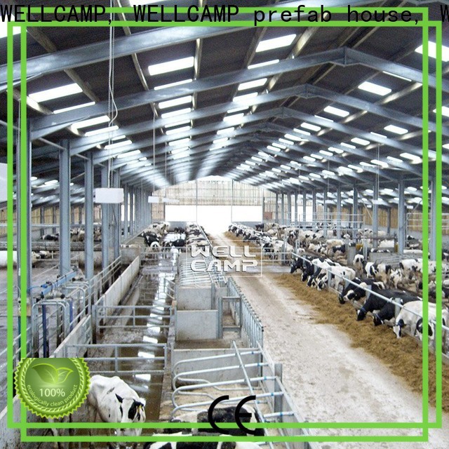 WELLCAMP, WELLCAMP prefab house, WELLCAMP container house light steel steel sheds for sale manufacturer wholesale