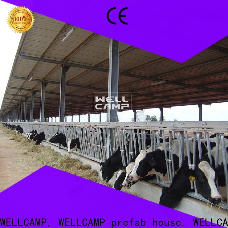 light steel steel sheds for sale manufacturer for cow shed
